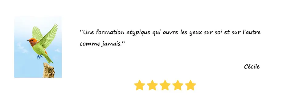 Carouss-Avis-10