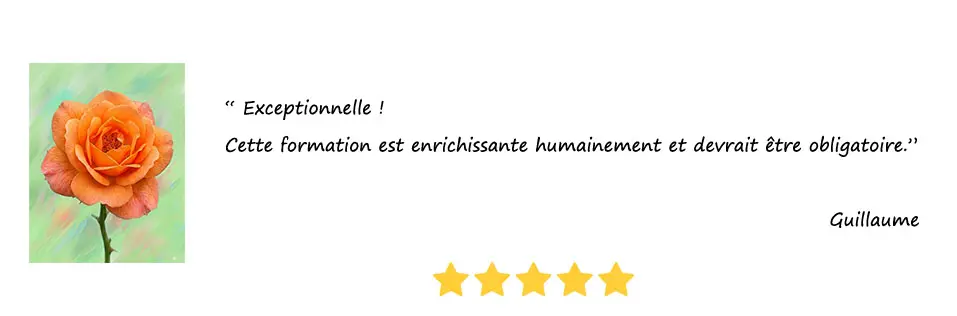 Carouss-Avis-2