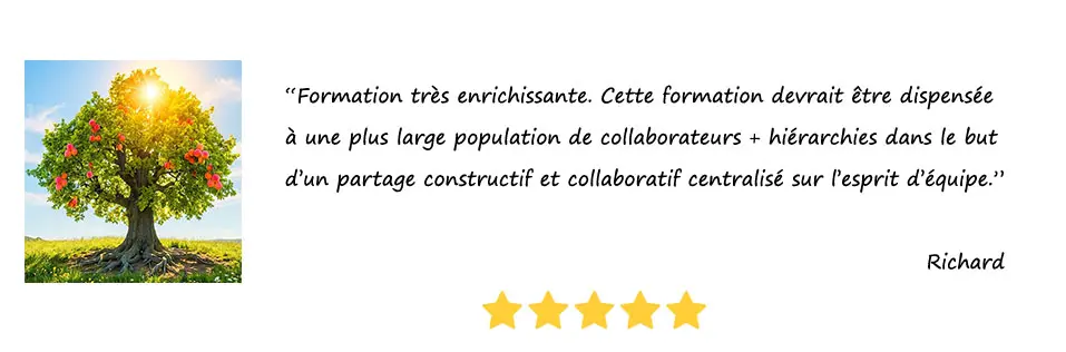 Carouss-Avis-7