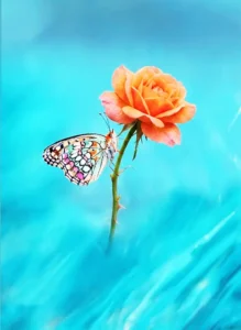 Papillon Rose 3